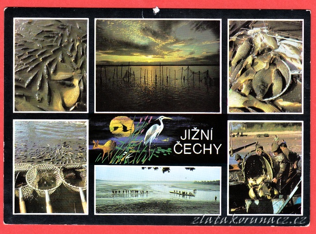 Jížní Čechy - Rybolov Jížní Čechy - Rybolov