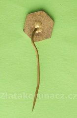 TJ VCHZ Pardubice kopaná