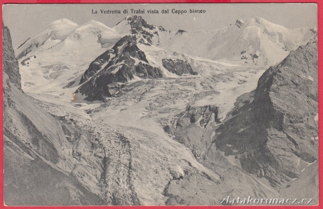 Gruppo dell' Ortler - Ceppo bianco