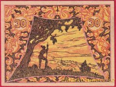 Seewalchen am Attersee - 30 haléřů - 1920