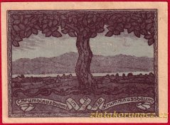 Krummnussbaum - 20 haléřů - 1920