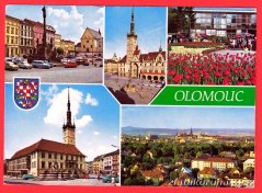 Olomouc - Náměstí, Auta, Květiny