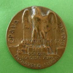 Slet dorostu Sokolské župy v Opavě 1926