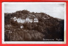 Ryjice - Ozdravovna,les