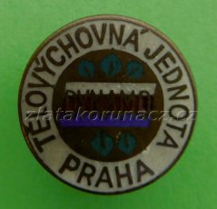 Tělovýchovná jednota Praha