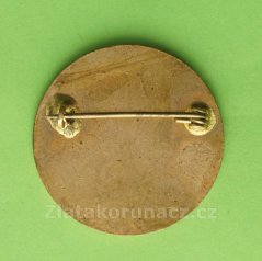 Zasloužilý pracovník MCHZ