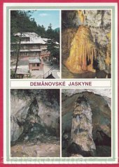 Demänovská jaskyńa - Zlaté jazierko, Čierna galérie
