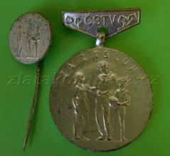 Čestný odznak v tělovýchově a sportu -„stříbrný