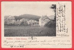 Česká Kubice - pole
