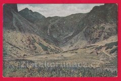 Vysoké Tatry - Hořec v Malé Studené dolině