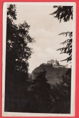 Buchlov - Hrad,stromy