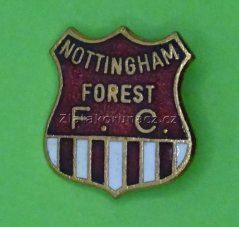 Mottingham forest F.C.