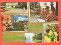 Olomouc-Flora výstava květin