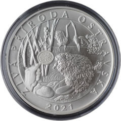 Živá příroda Ostravska