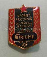Vzorný pracovník Důl přátelství N.P. Březová Triumf